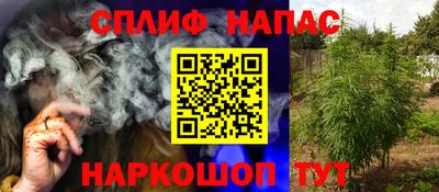сатива Донецк