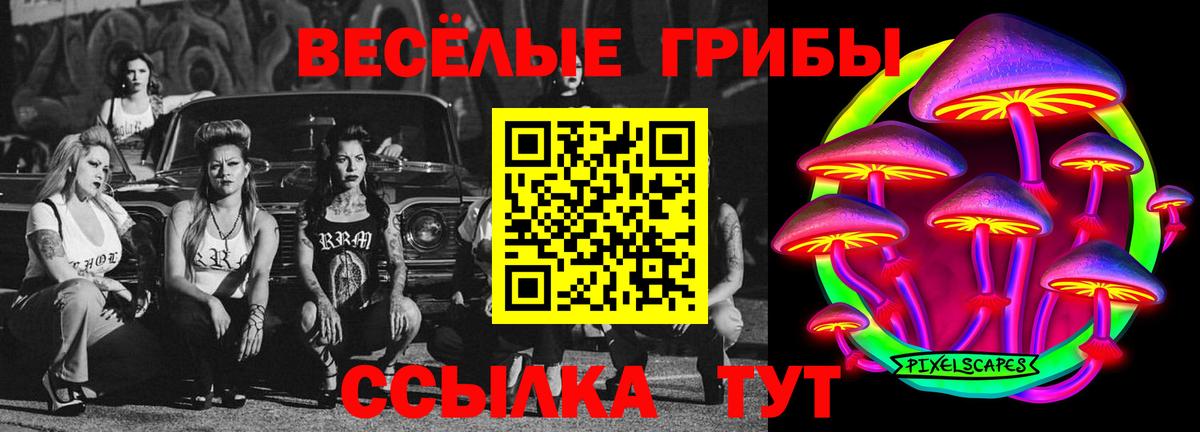 Малоярославец  где найти   Галлюциногенные грибы Magic Shrooms  Вход с VPN  Псилоцибиновые грибы Cubensis 